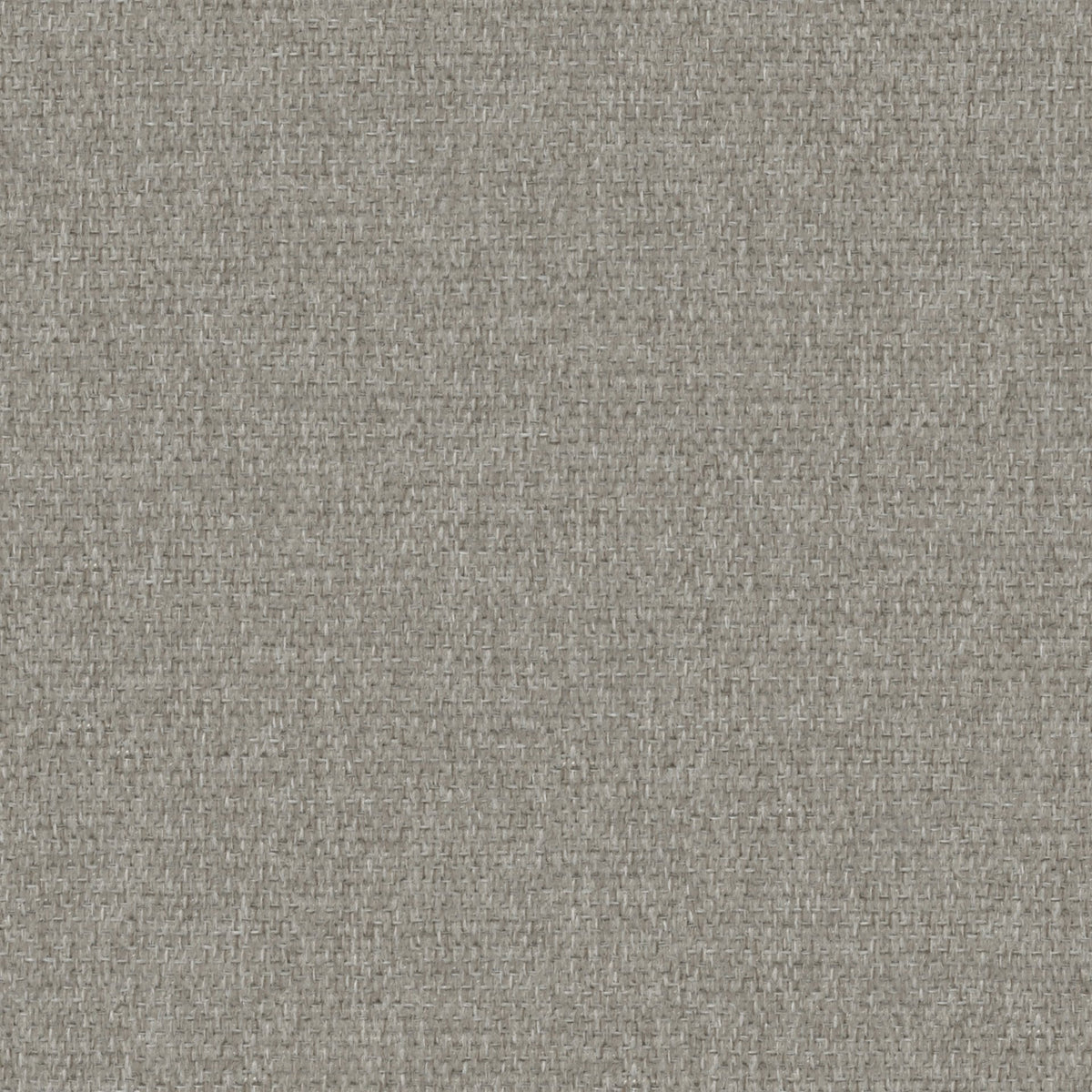 Lumi-11