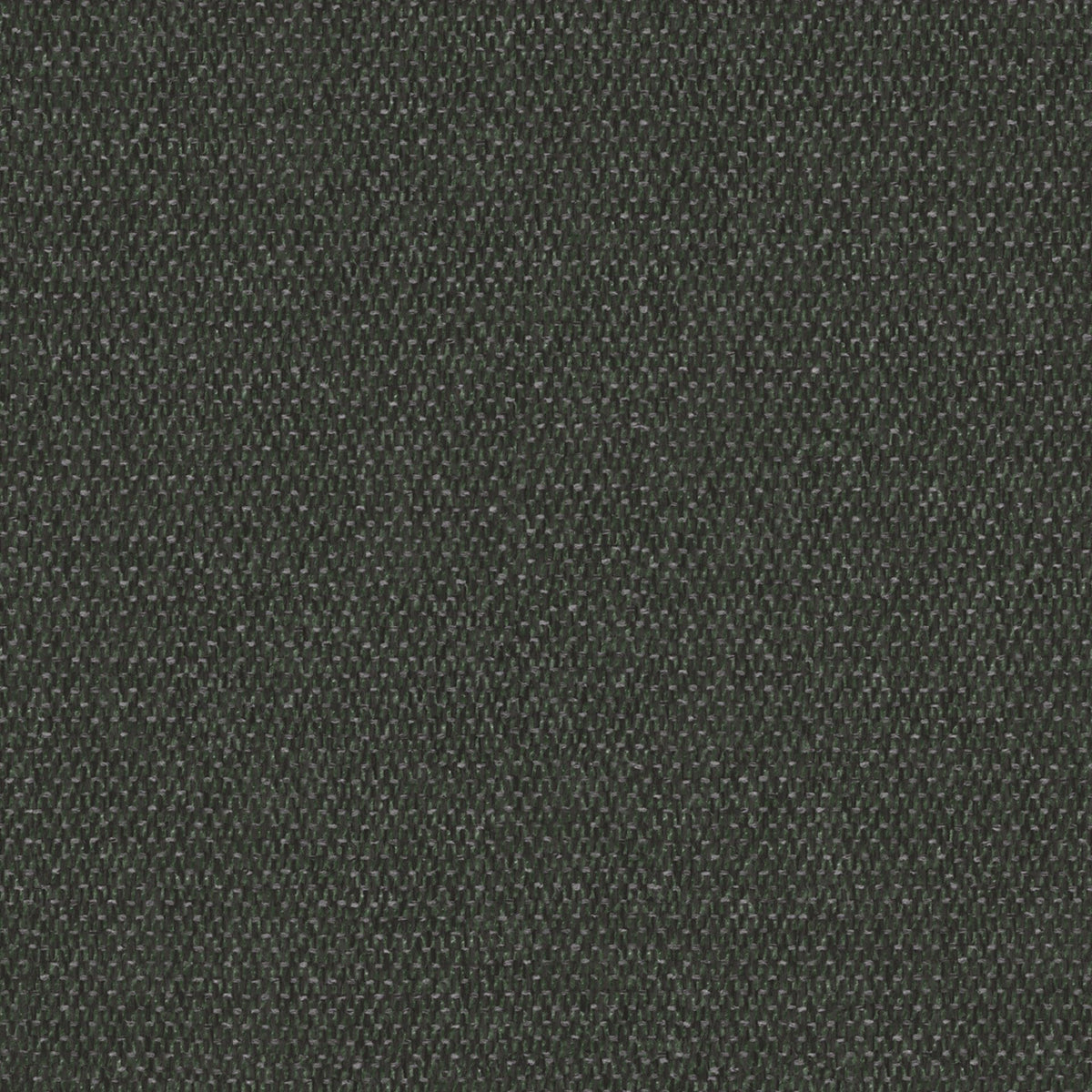 Lumi-37