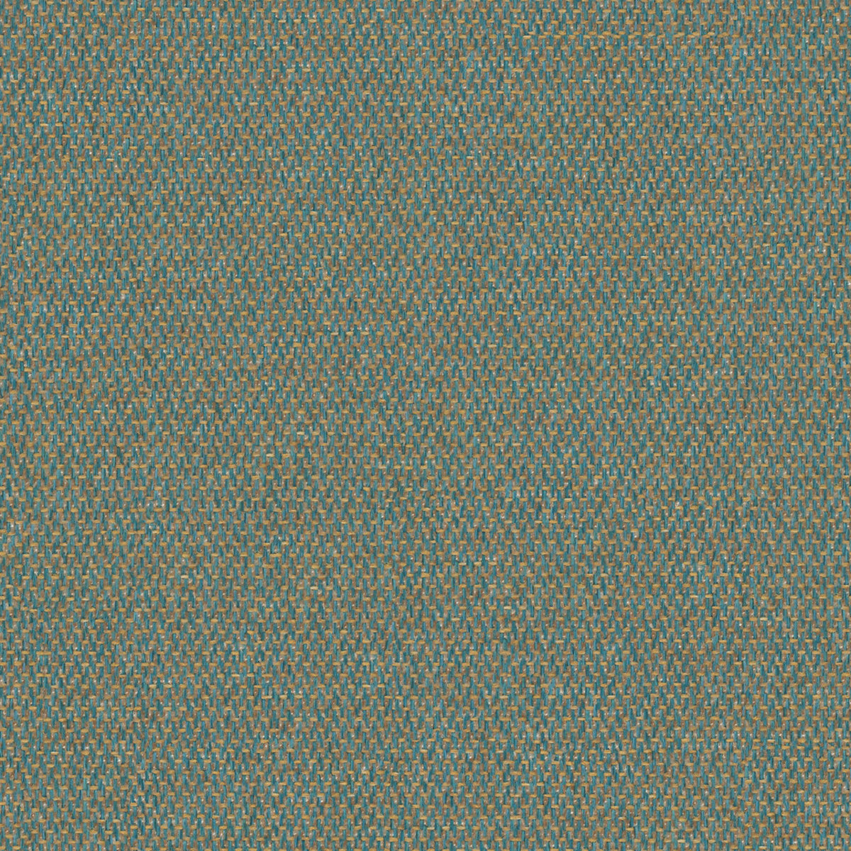 Lumi-38