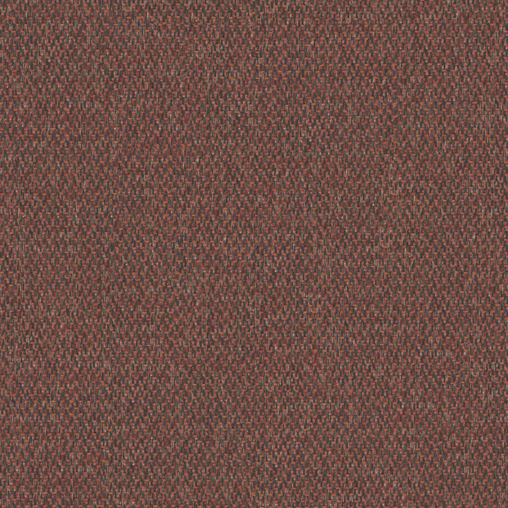Lumi-56