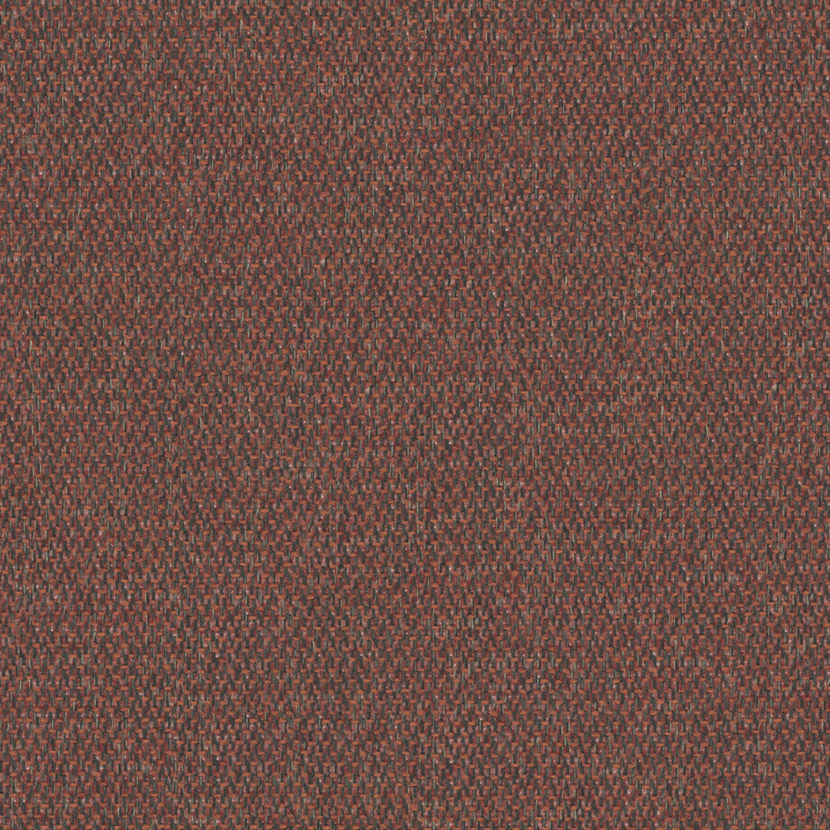 Lumi-56