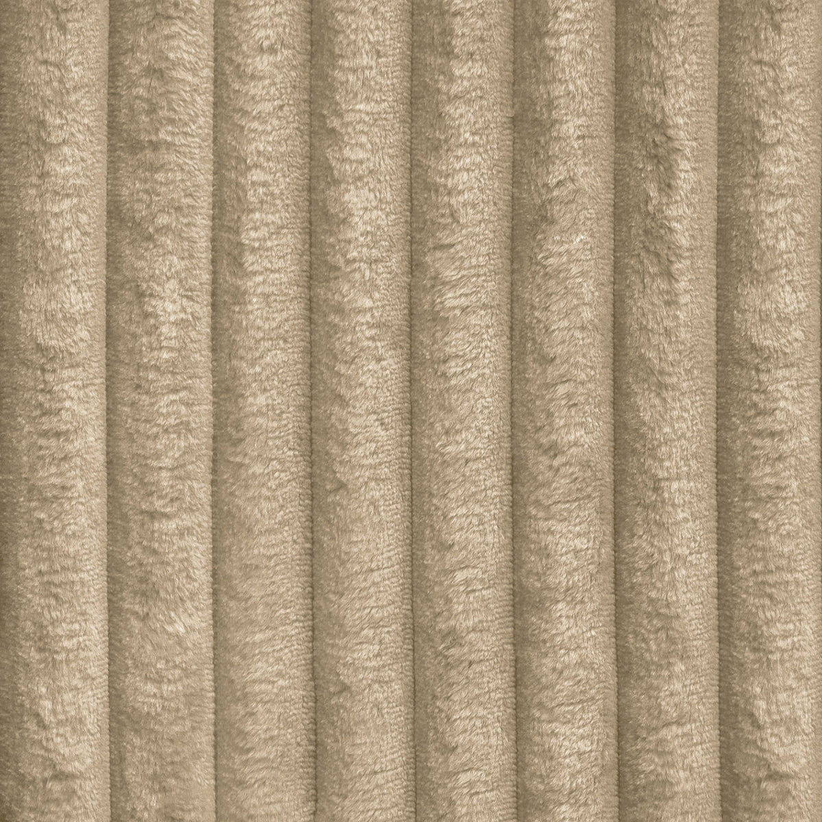 TILIA-11