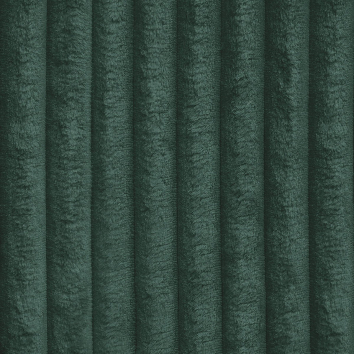 TILIA-39